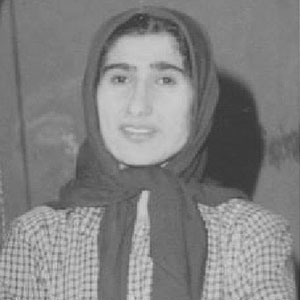 Sekine Delfi