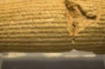 cyrus-cylinder-